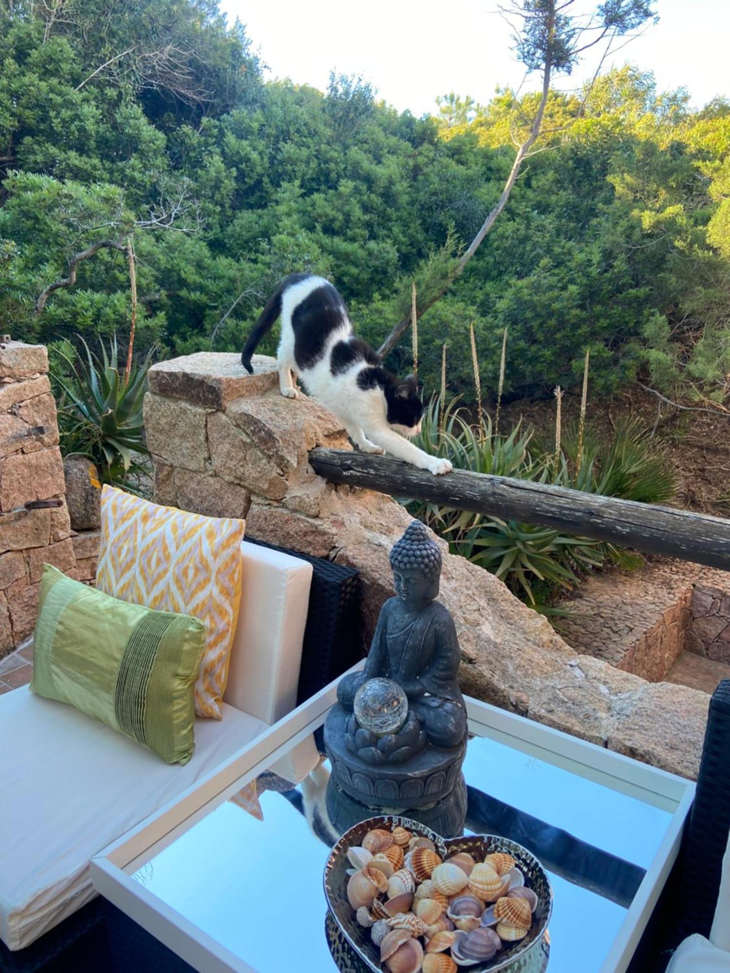 Hébergement de vacances Sardinian Seaside Retreats *
